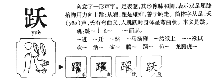 跃